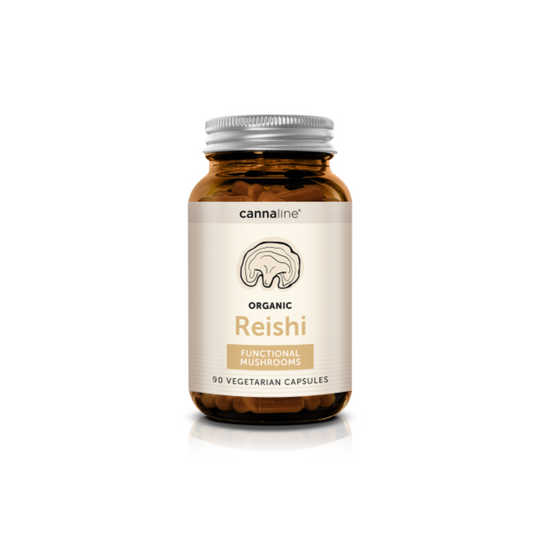 Cannaline Lion’s Mane Funktionelle Pilze